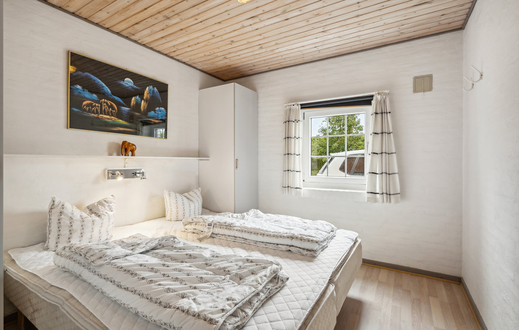 Ferienhaus - Kongsmark , Dänemark - R10588 24
