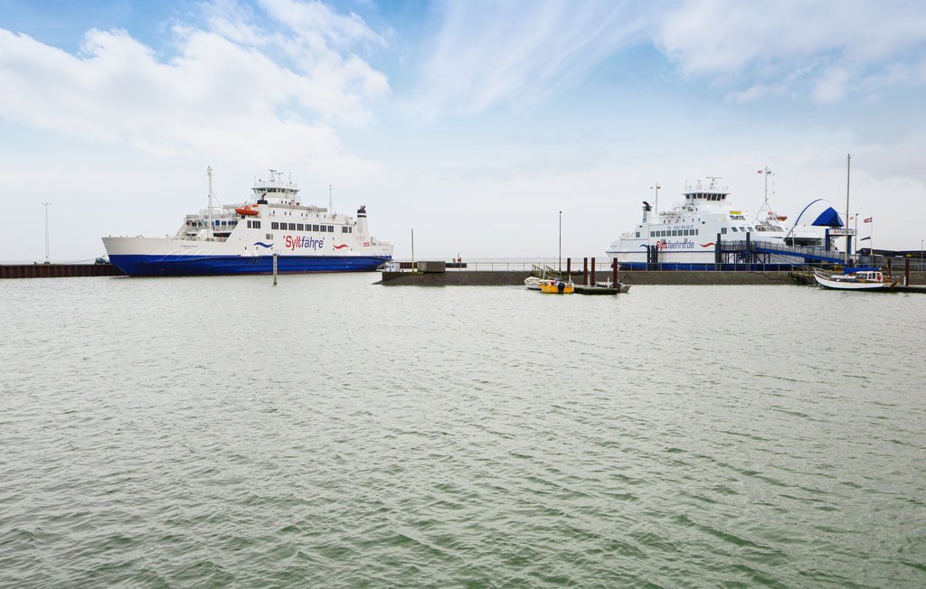 Ferienhaus - Nr. Tvismark , Dänemark - R10068 19