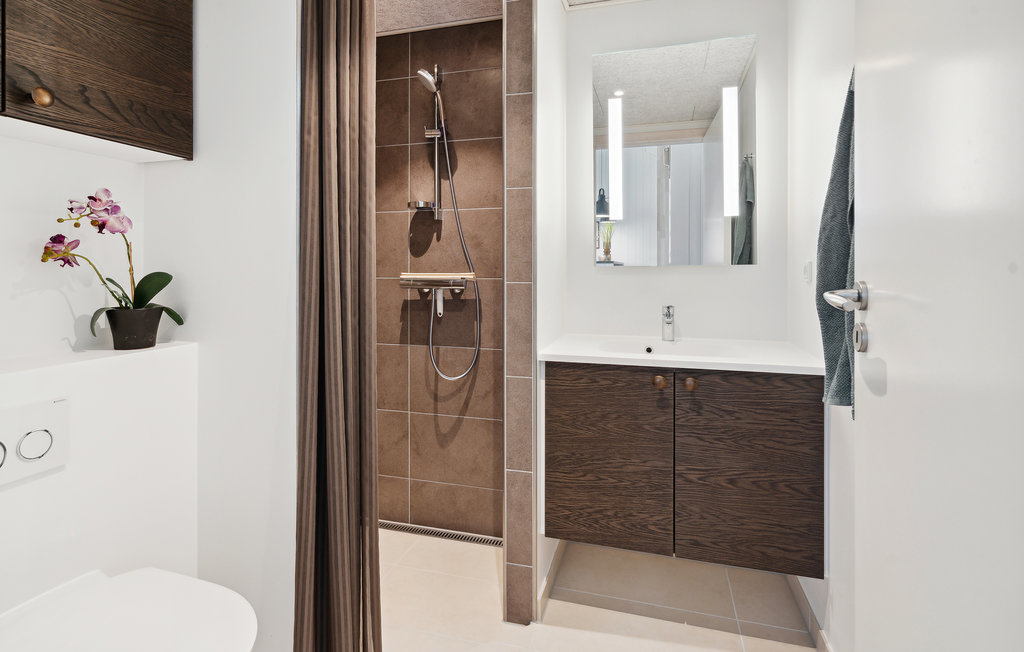 Ferienhaus - Kongsmark , Dänemark - R10064 25