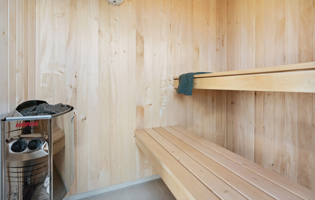 Ferienhaus - Kongsmark , Dänemark - R10064 27