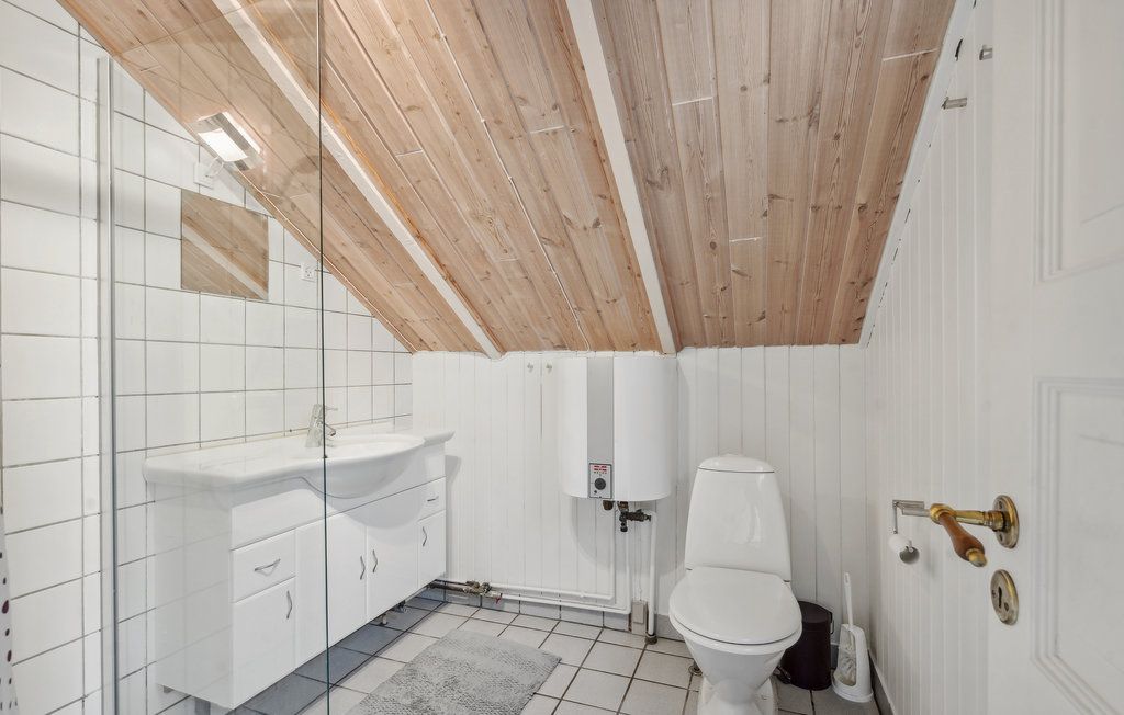 Ferienhaus - Kongsmark , Dänemark - R10542 17