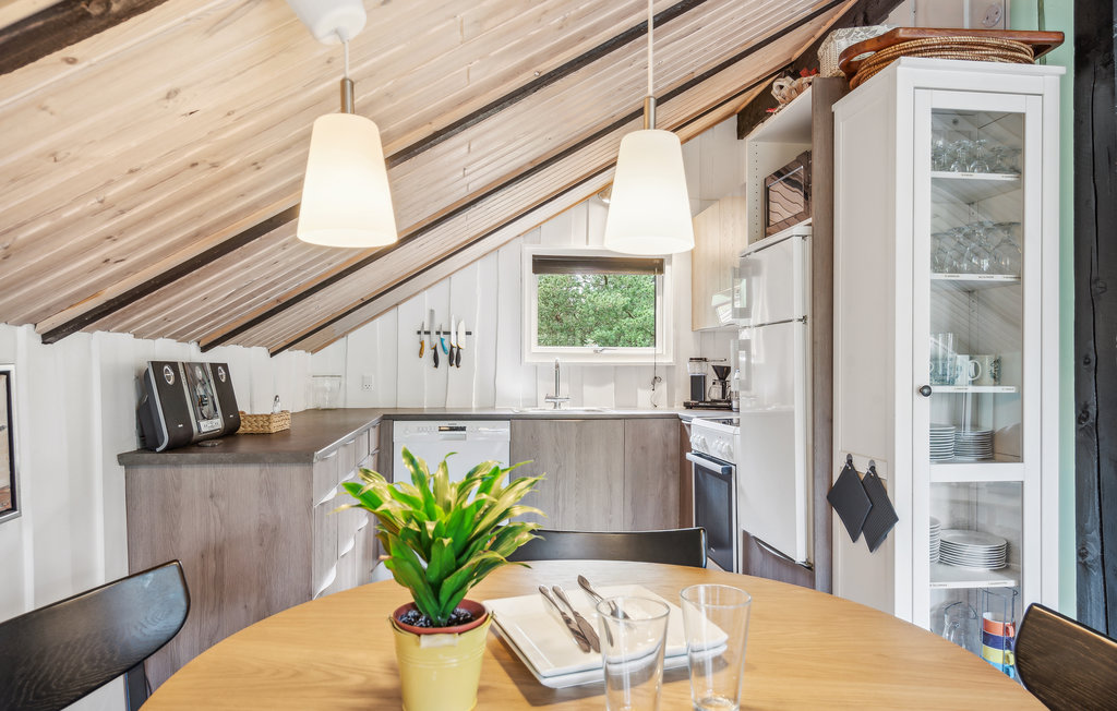 Ferienhaus - Kongsmark , Dänemark - R10542 7