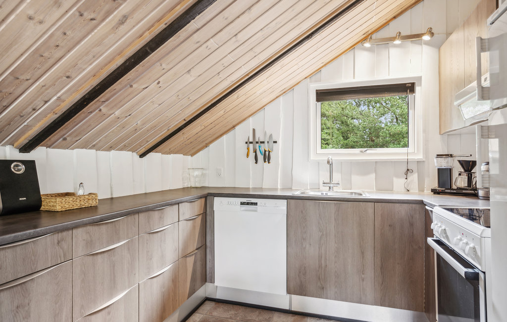 Ferienhaus - Kongsmark , Dänemark - R10542 14