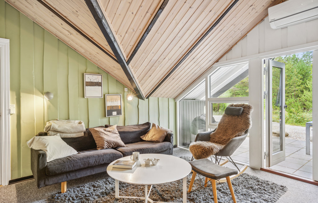 Ferienhaus - Kongsmark , Dänemark - R10542 3