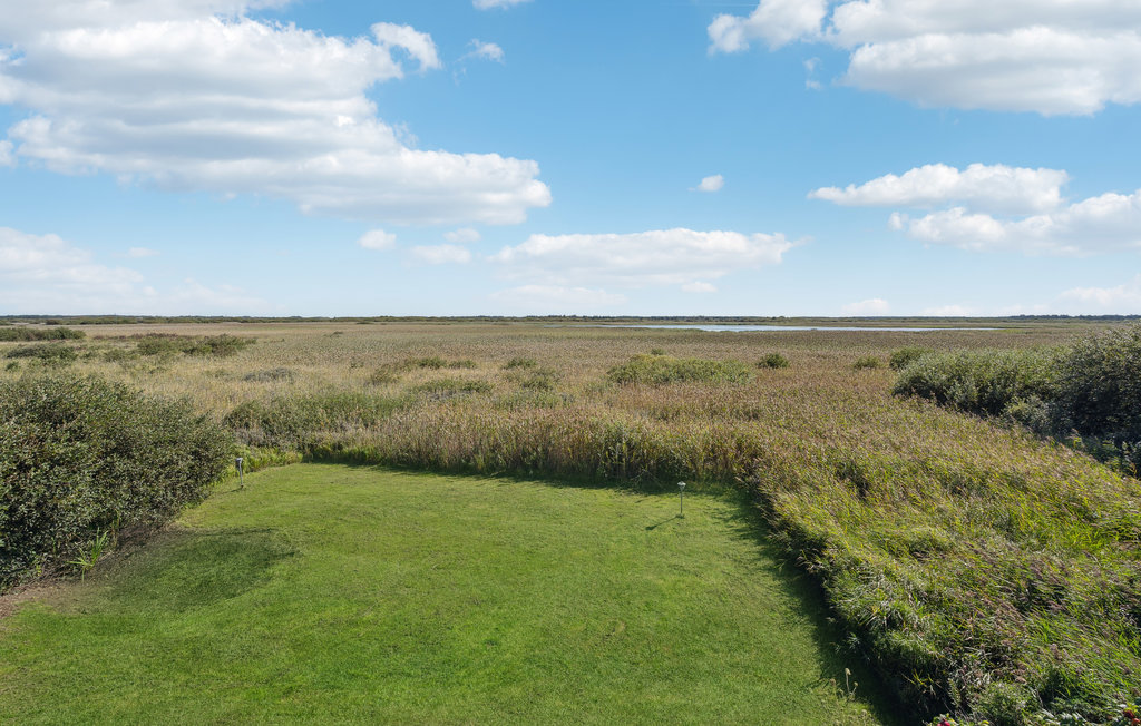 Ferienhaus - Lakolk , Dänemark - R10778 14