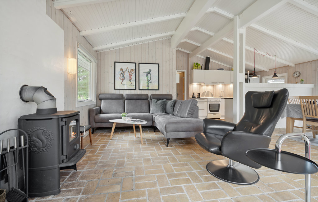 Ferienhaus - Bolilmark , Dänemark - R10031 16