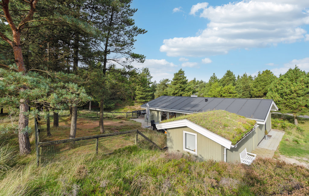 Ferienhaus - Bolilmark , Dänemark - R10031 11