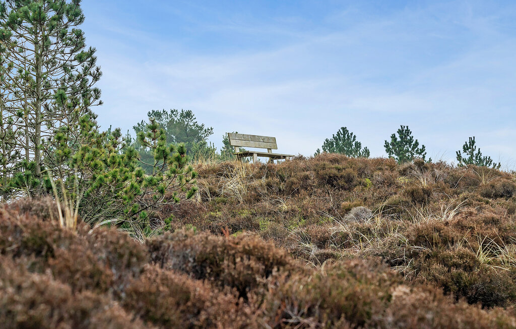 Ferienhaus - Bolilmark , Dänemark - R10077 14