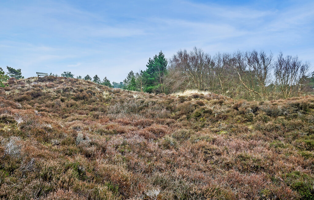 Ferienhaus - Bolilmark , Dänemark - R10077 16