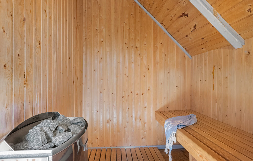 Feriehuse - Kongsmark , Danmark - R10847 8