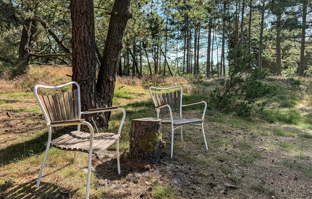 Feriehuse - Vesterhede , Danmark - R10188 14