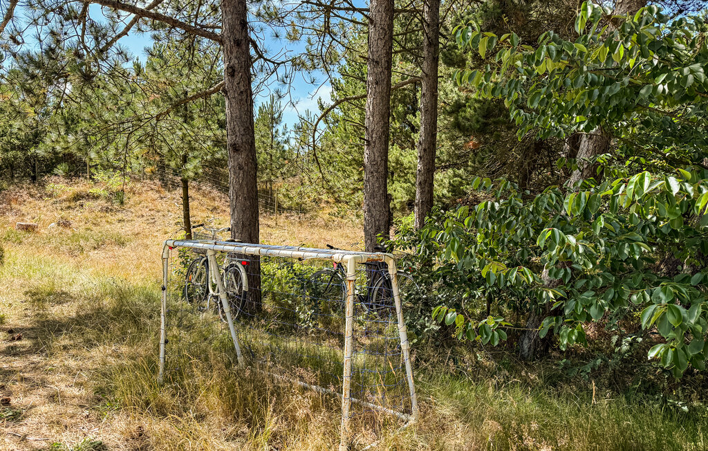 Feriehuse - Vesterhede , Danmark - R10188 18