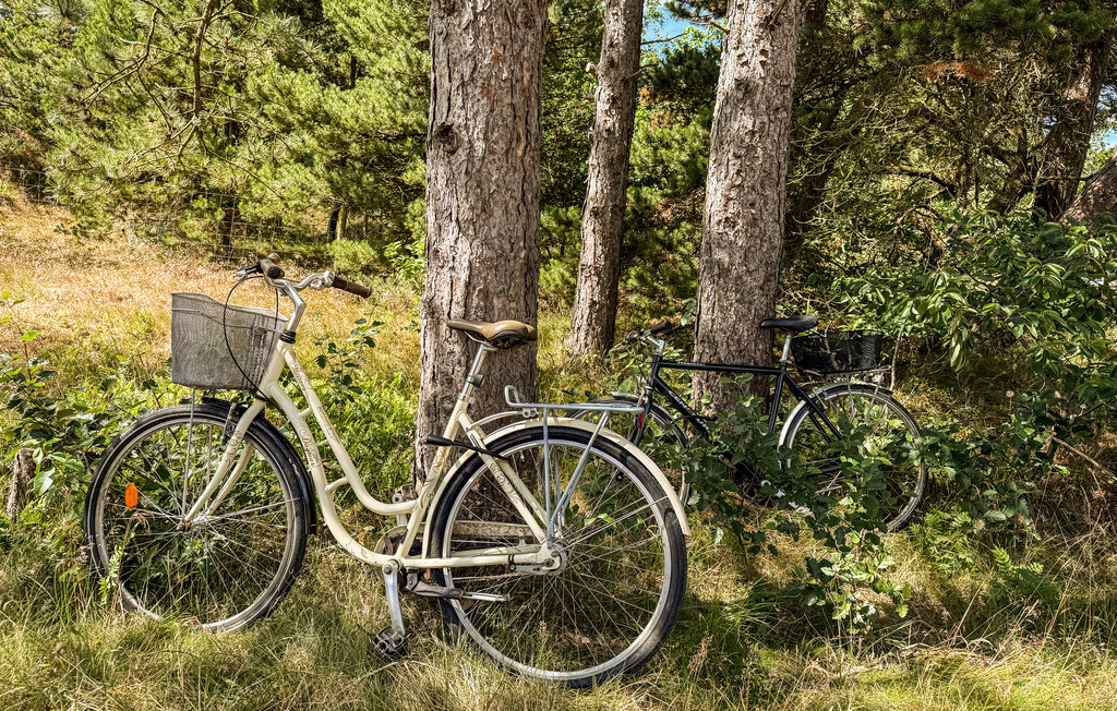 Feriehuse - Vesterhede , Danmark - R10188 20