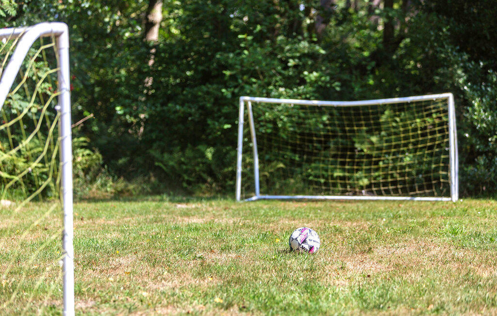 Ferienhaus - Toftum , Dänemark - R10228 17