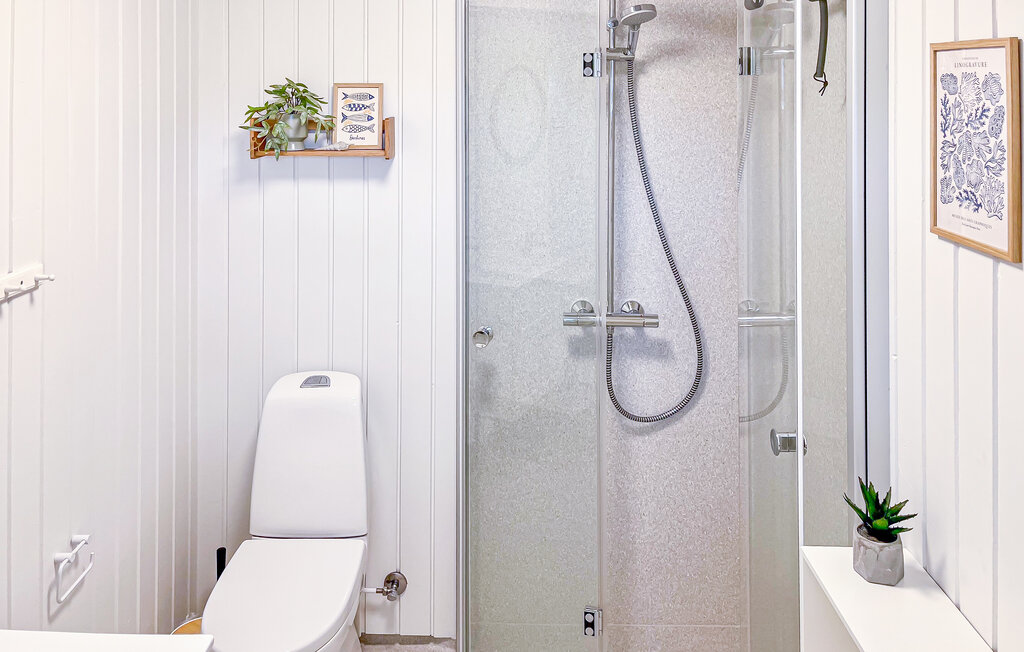 Ferienhaus - Kongsmark , Dänemark - R10660 23