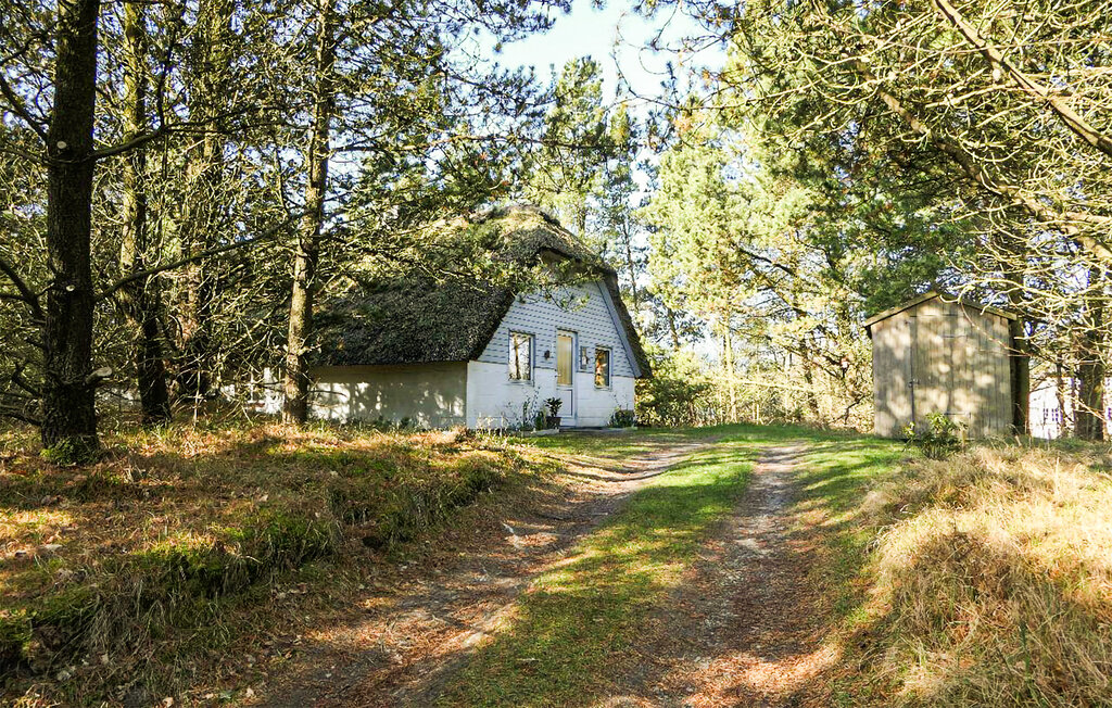 Ferienhaus - Kongsmark , Dänemark - R10510 2