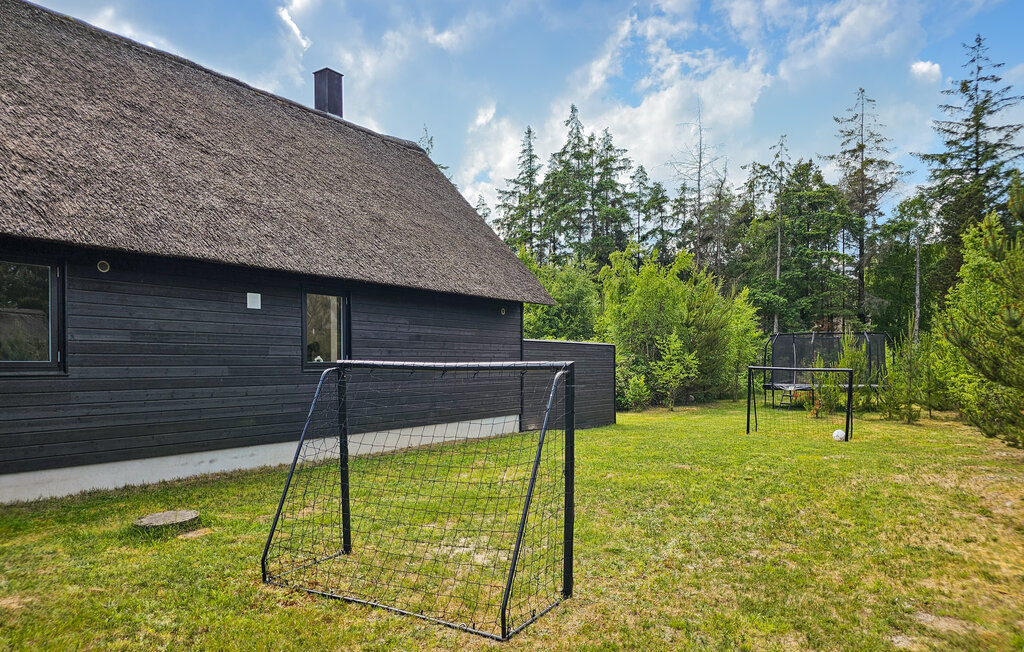 Feriehuse - Kongsmark , Danmark - R10053 14