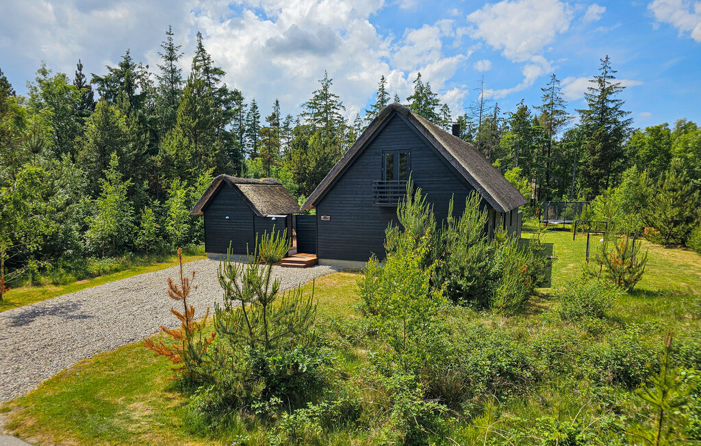 Feriehuse - Kongsmark , Danmark - R10053 16