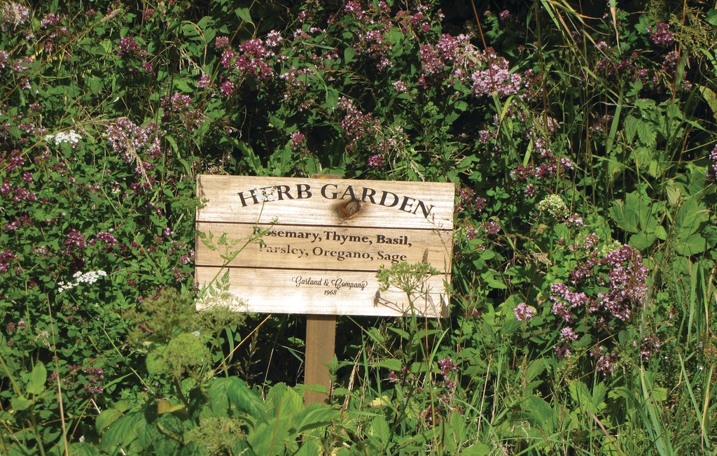 Ferienhaus - Ystad , Schweden - S01806 19