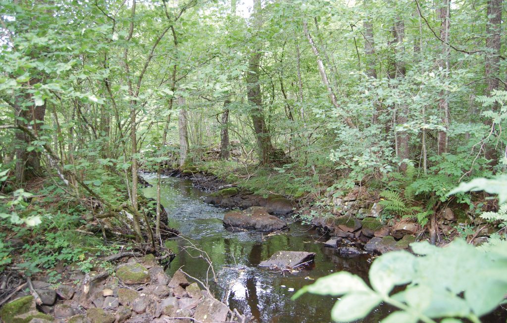 Semesterhus - Örkelljunga , Sverige - S01203 6
