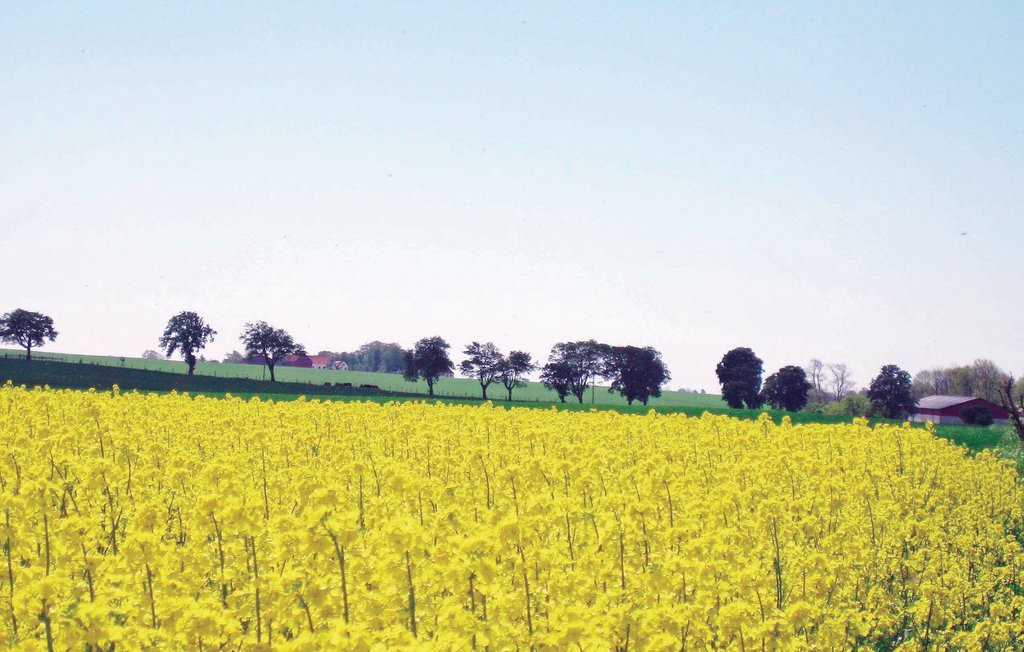 Ferienhaus - Tomelilla , Schweden - S01264 12