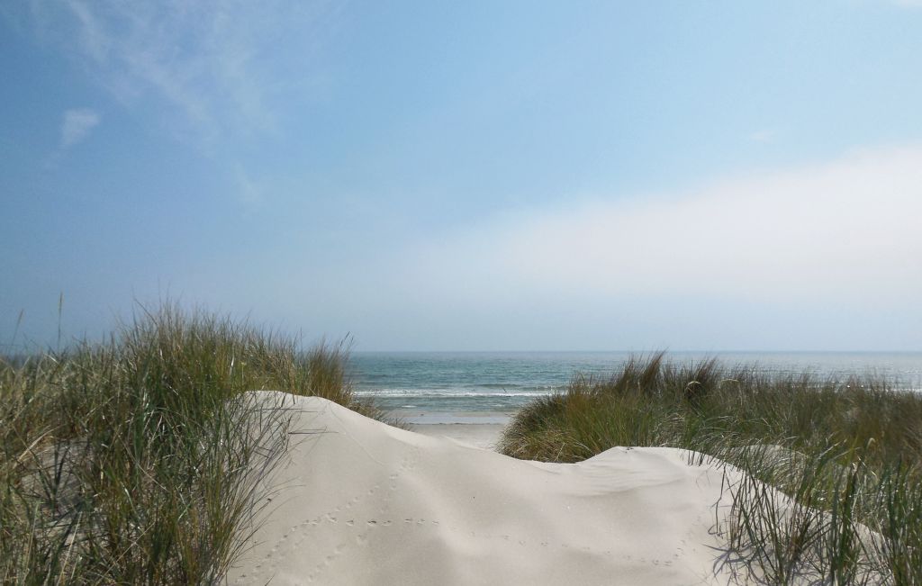 Semesterhus - Sandbacka/Borrby , Sverige - S01309 25