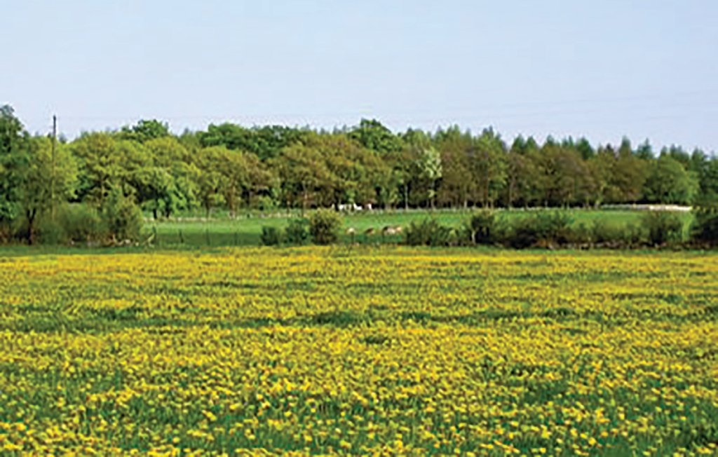 Semesterhus - Romeleåsen/Ystad , Sverige - S01850 14