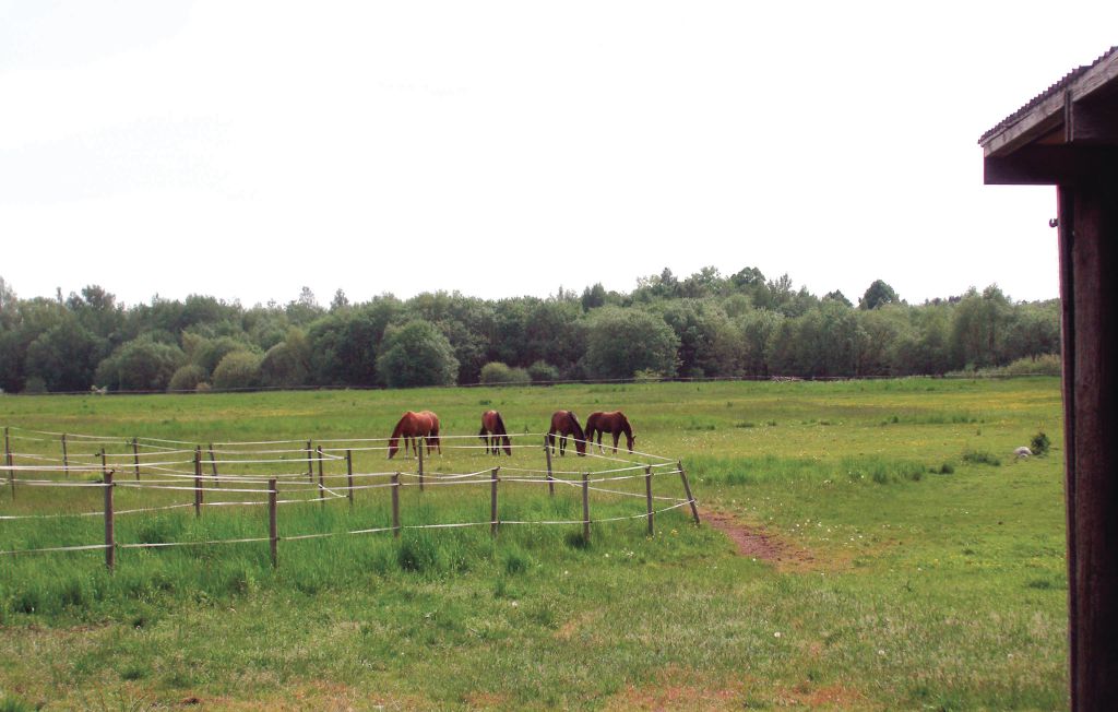 Ferienwohnung - Saxtorp , Schweden - S01158 5
