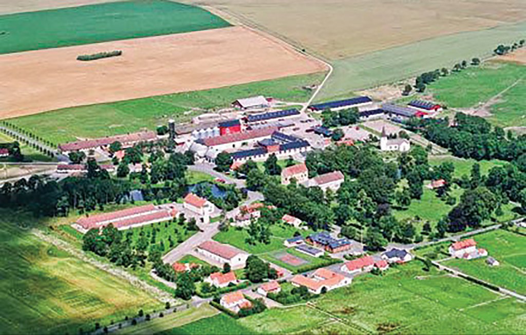 Ferienhaus - Tomelilla , Schweden - S01263 17