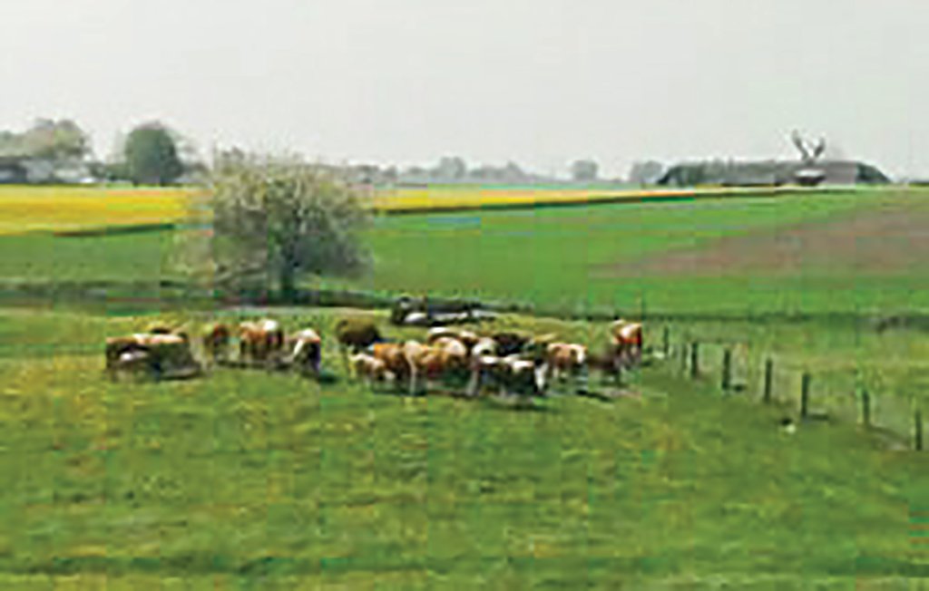 Ferienhaus - Tomelilla , Schweden - S01263 18