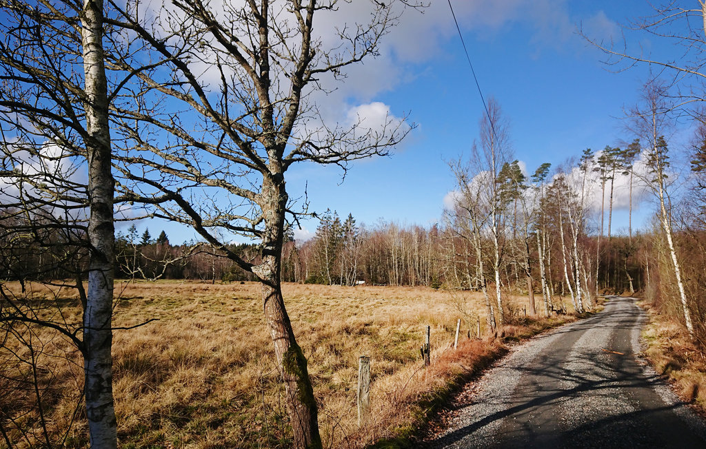 Ferienhaus - Höör/Stanstorp , Schweden - S01469 13
