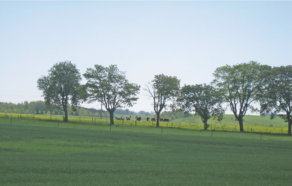 Ferienhaus - Tomelilla , Schweden - S01264 13