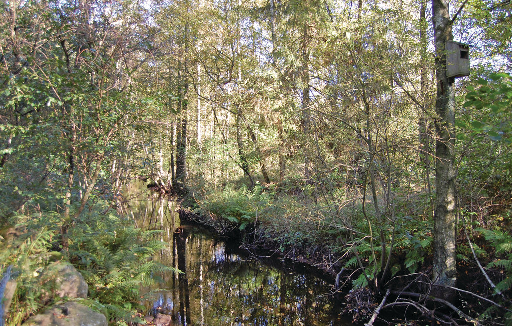 Feriehuse - Örkelljunga , Sverige - S01672 12