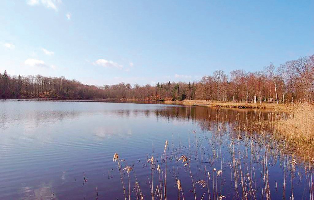 Feriehus - Bjärrödssjön/Perstorp , Sverige - S01039 19