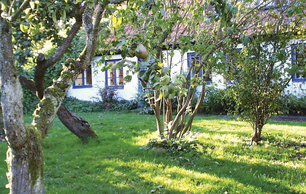 Domy wakacyjne - Skillinge , Szwecja - S01625 7