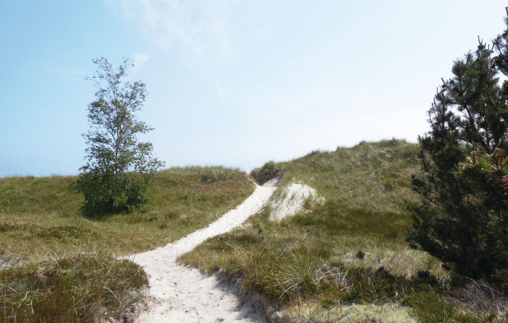 Semesterhus - Sandbacka/Borrby , Sverige - S01309 24