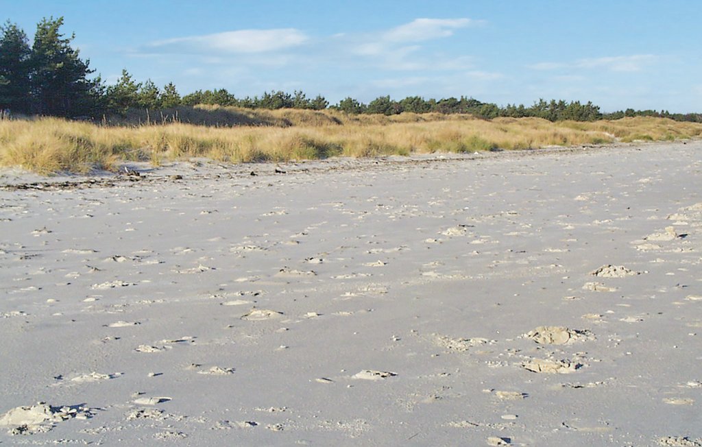 Domy wakacyjne - Skillinge , Szwecja - S01625 26