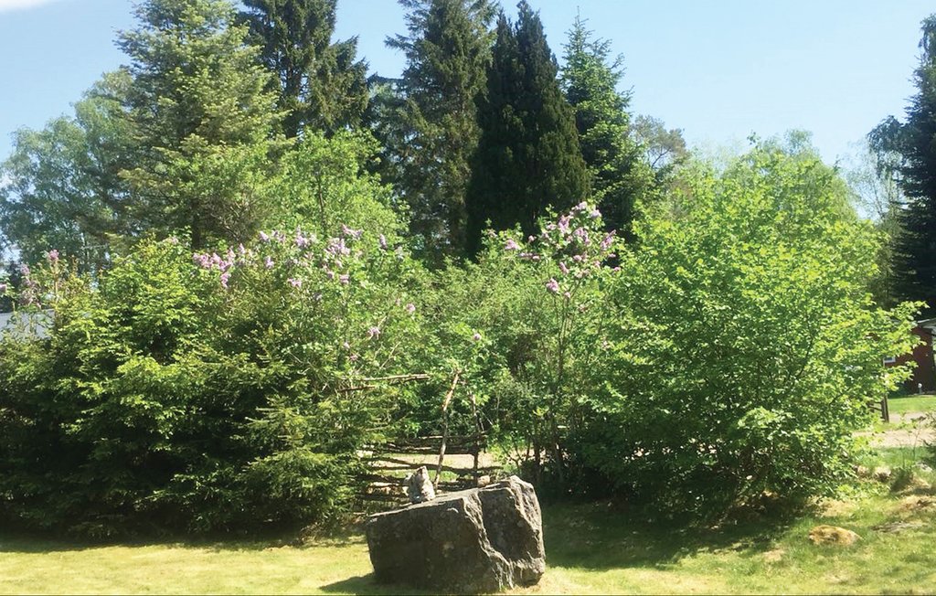 Feriehuse - Örkelljunga , Sverige - S01530 6