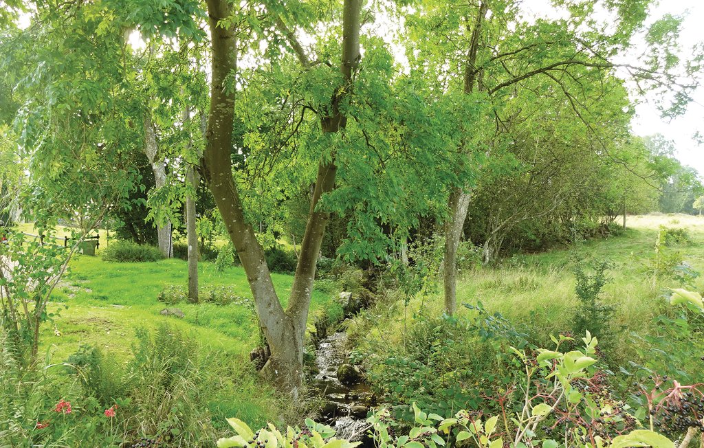 Ferienhaus - Söderåsen/Klippan , Schweden - S01223 19