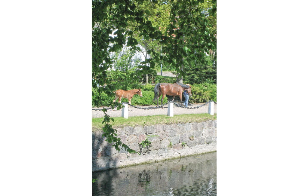 Ferienhaus - Tomelilla , Schweden - S01259 18