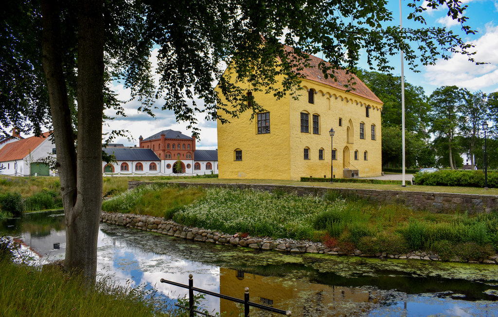 Ferienhaus - Tomelilla , Schweden - S01267 13