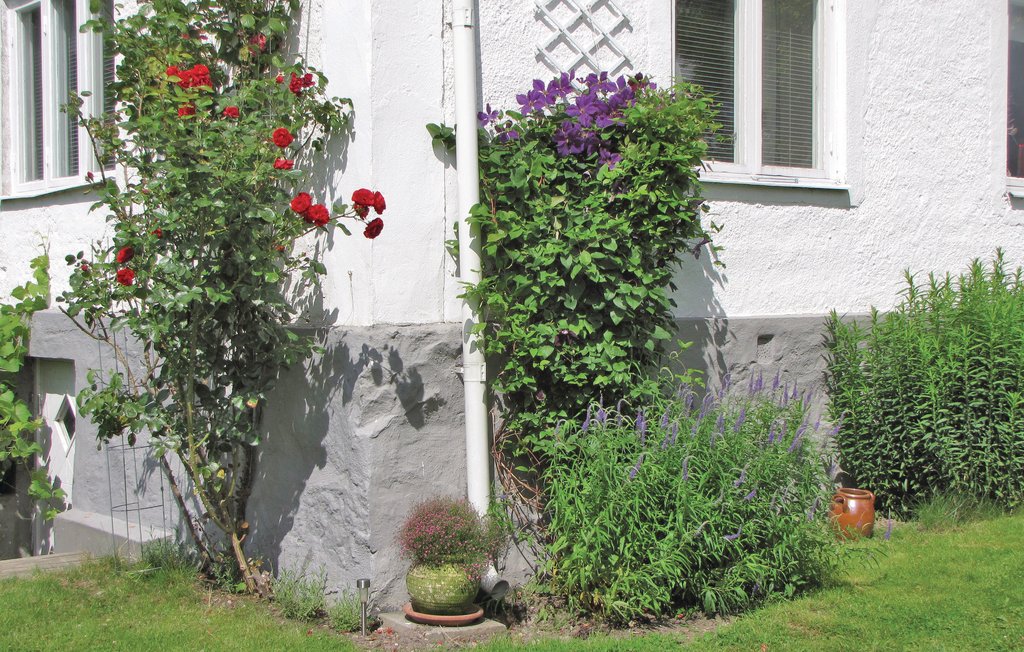 Ferienhaus - Ystad , Schweden - S01806 5