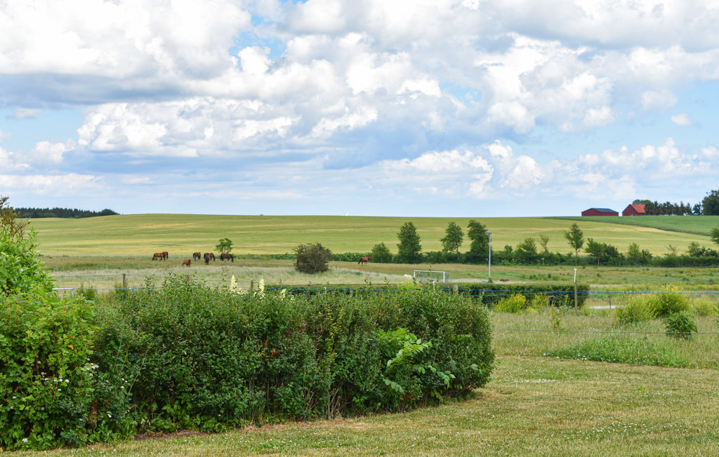 Feriehus - Tomelilla , Sverige - S01261 15