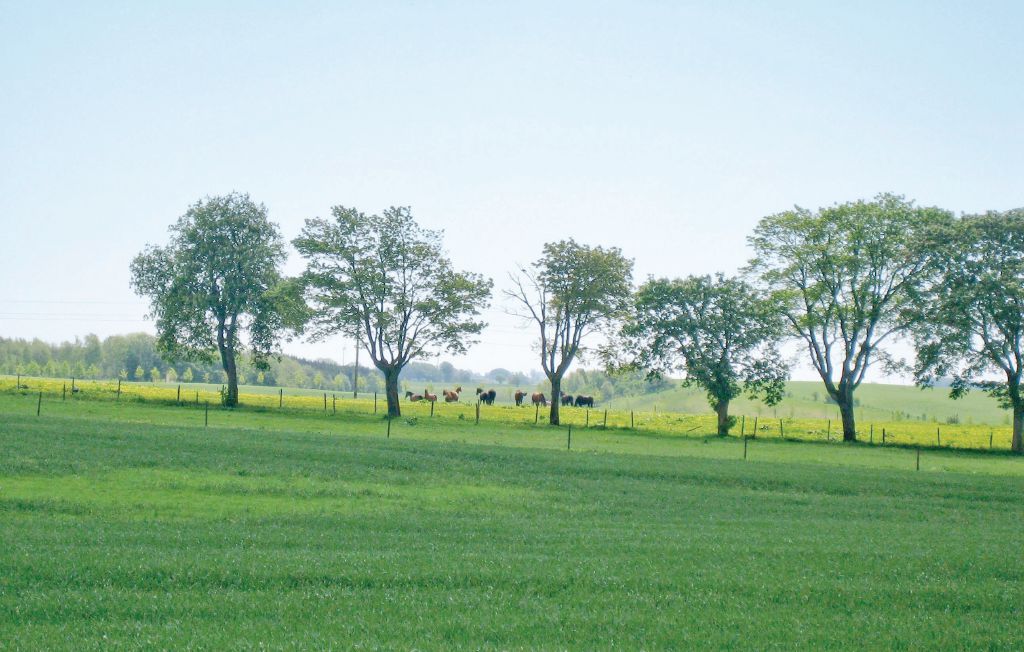 Ferienhaus - Tomelilla , Schweden - S01259 22