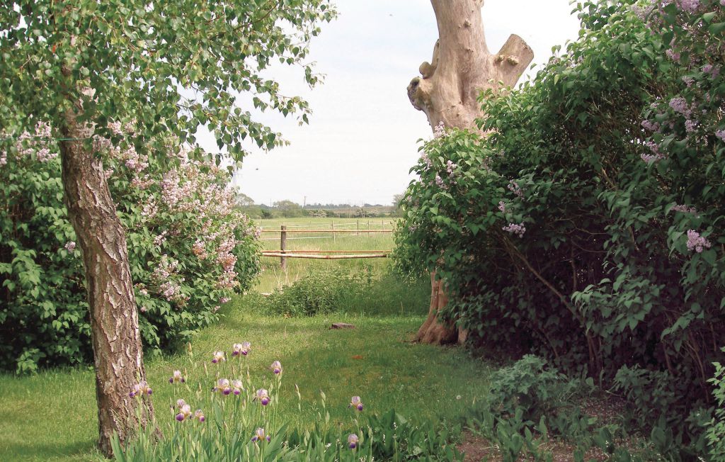 Ferienwohnung - Saxtorp , Schweden - S01158 4