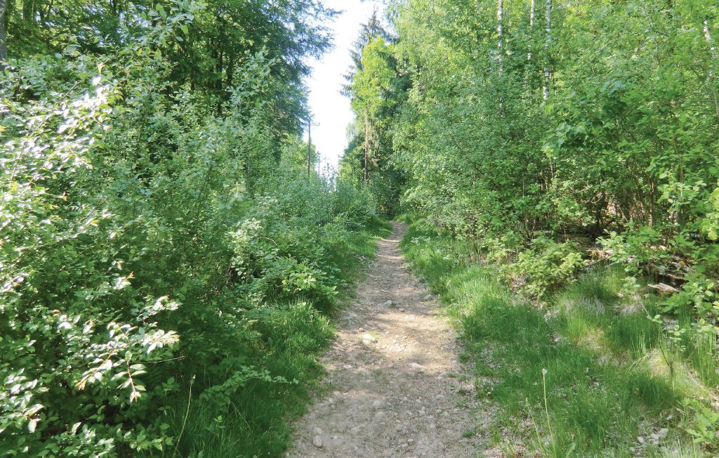 Ferienhaus - Skälderviken , Schweden - S01846 19