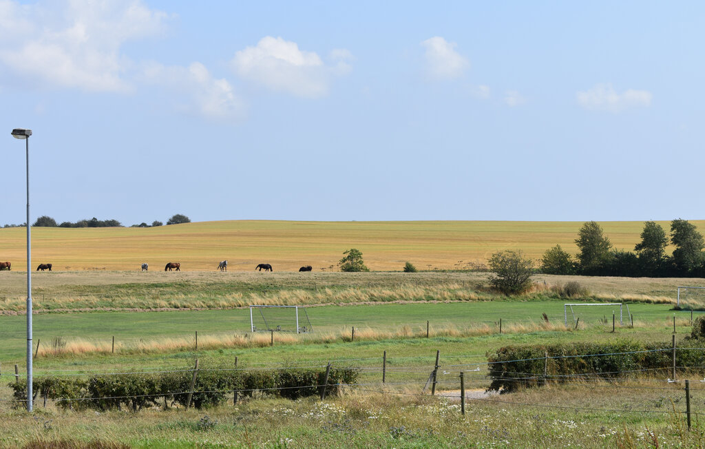 Ferienhaus - Tomelilla , Schweden - S01263 8
