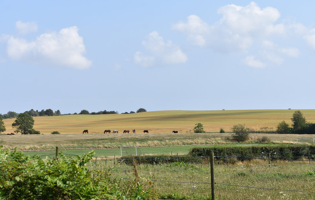Ferienhaus - Tomelilla , Schweden - S01267 6
