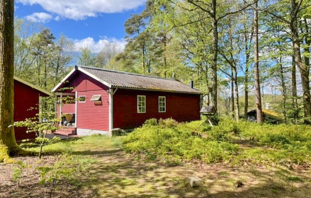 Ferienhaus - Hörby , Schweden - S01983 7