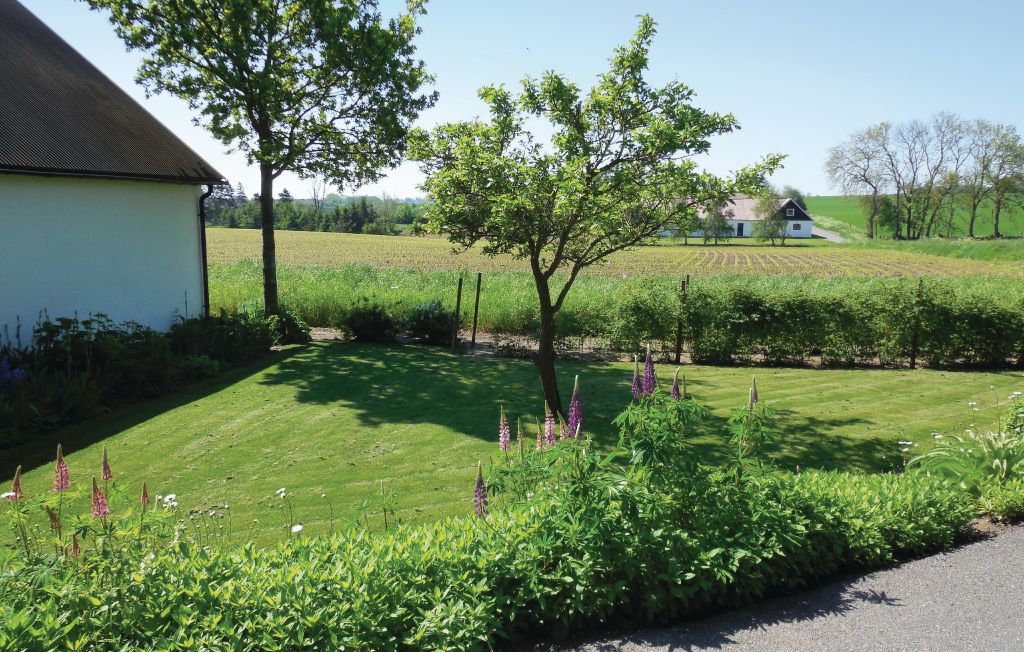Bild 5 Bild 5